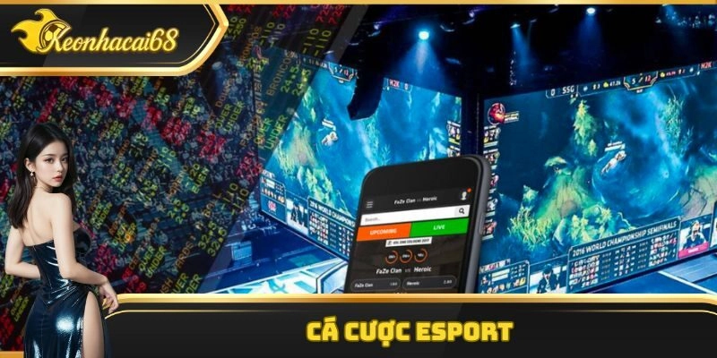 Cá Cược Esport – Đặt Cược Nhanh, Nhận Lợi Nhuận Cực Khủng