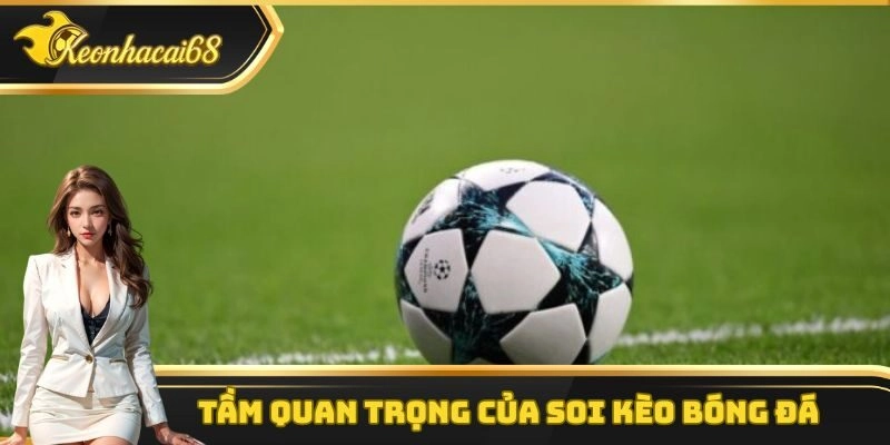 Soi kèo bóng đá có vai trò rất quan trọng khi tham gia đặt cược